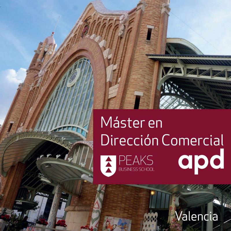 Mster Direccin Comercial Valencia