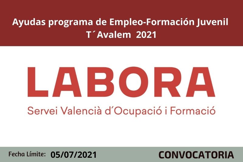 Ampliar imagen