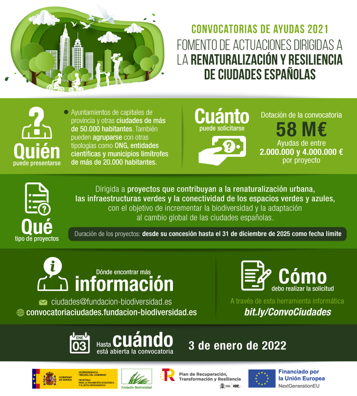 Ampliar imagen