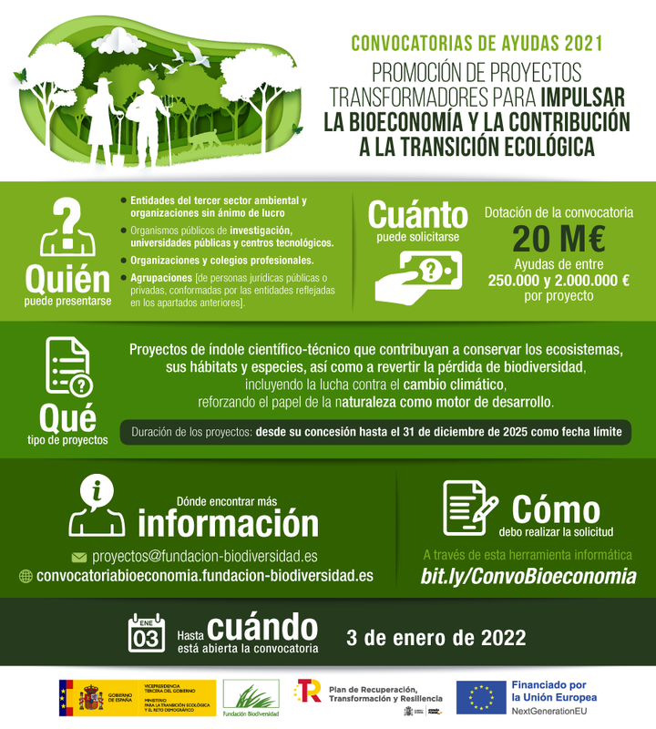 Ampliar imagen