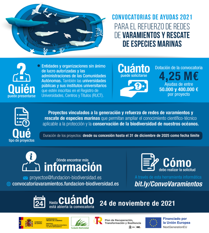 Ampliar imagen