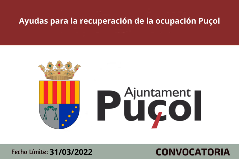 Ampliar imagen