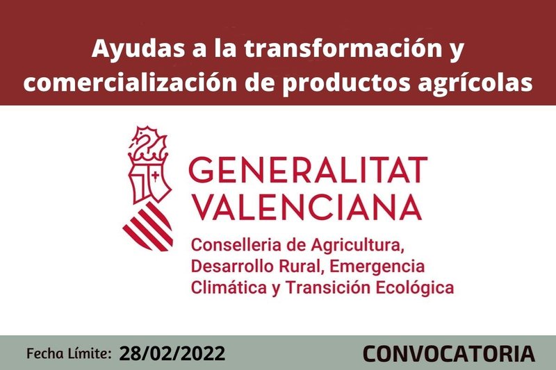 Ampliar imagen