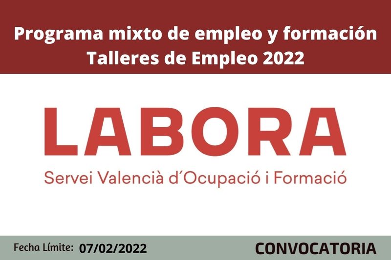 Ampliar imagen