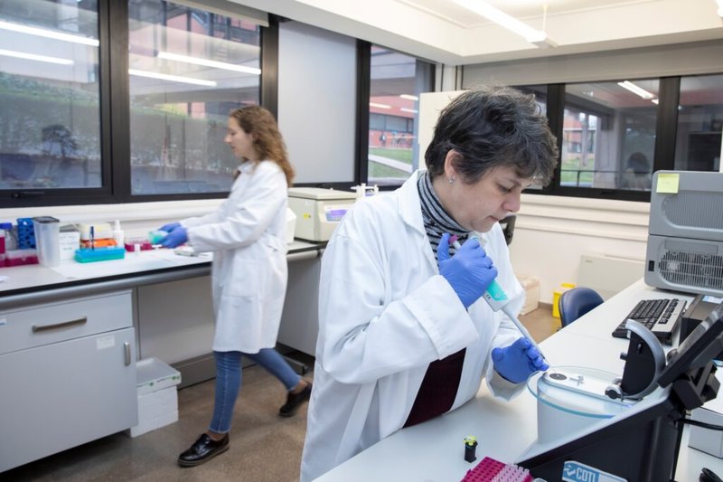 Ampliar imagen
