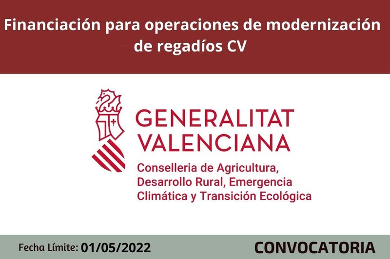 Ampliar imagen