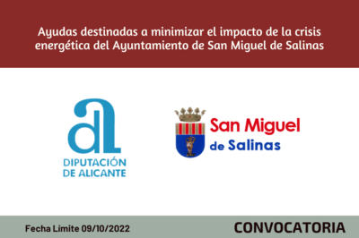 Ayudas San Miguel de Salinas