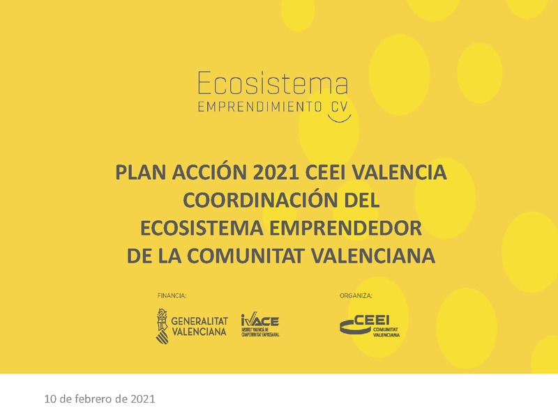 Resumen plan de actividad CEEI 2021