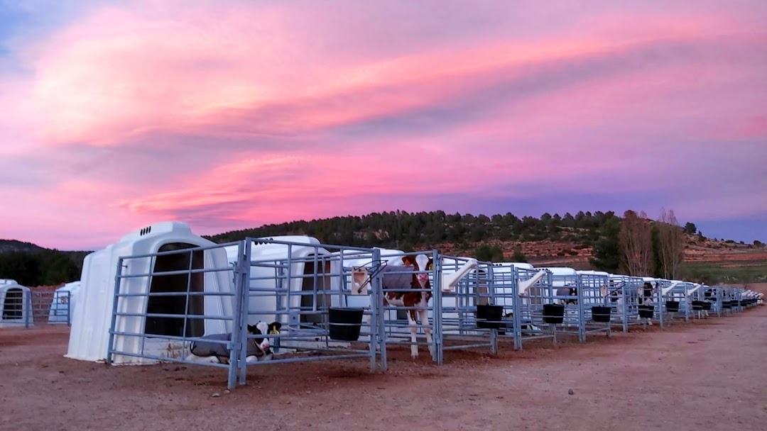 COWVET GESTION Y SERVICIOS VETERINARIOS SL