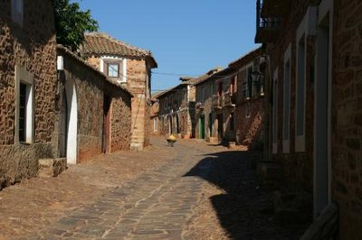 Programa Captación del talento 2023