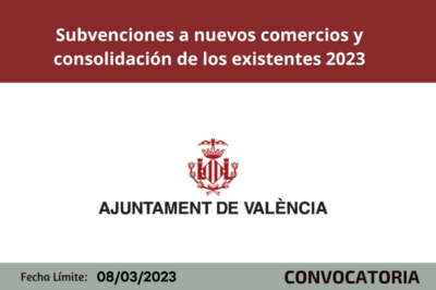 Subvenciones a Nuevos Comercios y Consolidación de los Existentes