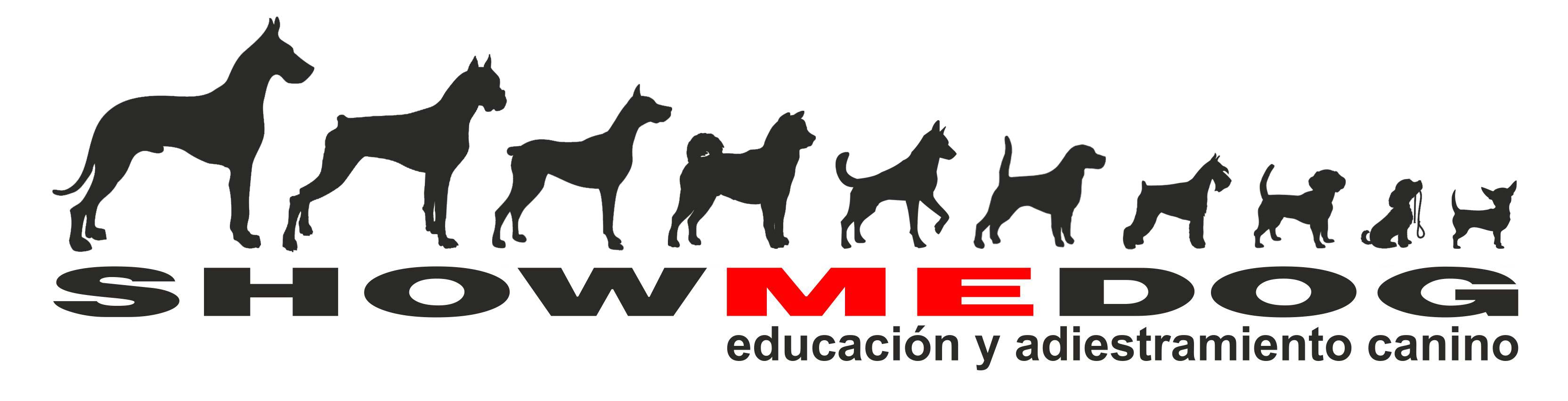 Show Me Dog