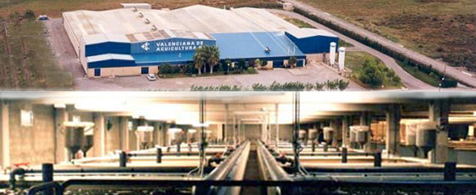 VALENCIANA DE ACUICULTURA, S.A.