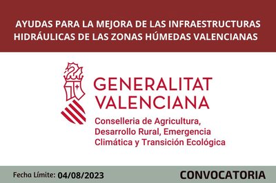 Ayudas para la aplicación de medidas de mejora de las infraestructuras hidráulicas de las zonas húmedas valencianas