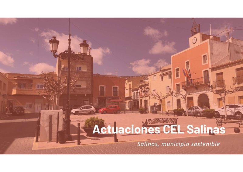 Salinas municipio sostenible - Propuesta de actuacin