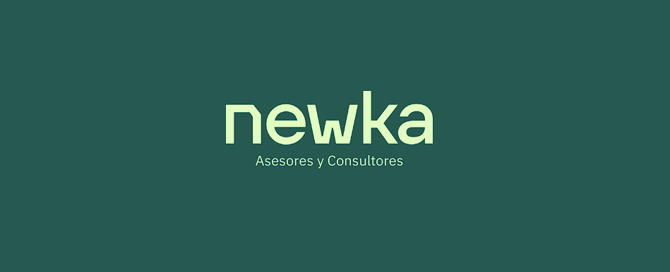 NEWKA ASESORES Y CONSULTORES SL