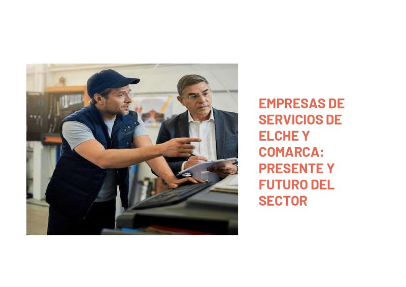 Empresas de servicios de Elche y comarca: Presente y futuro del sector- Propuesta de actuacin