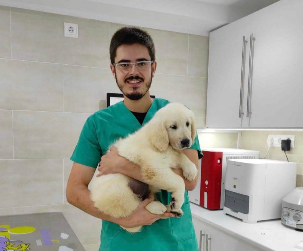 GreenVet Marbella