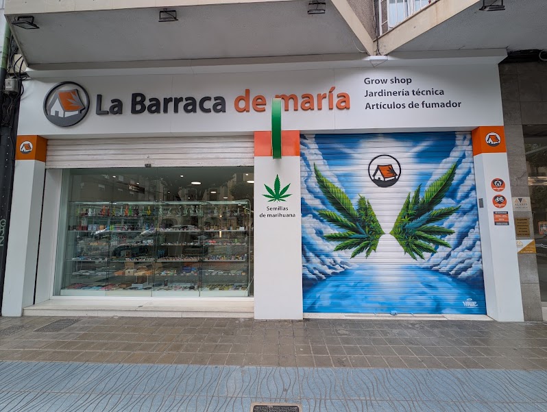 La Barraca de maría Grow Shop CBD Valencia