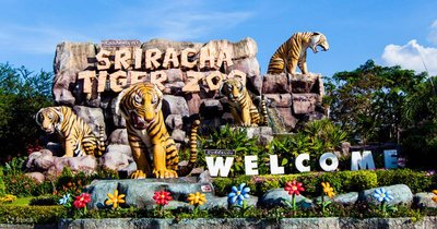 Tigertopiasrirachazoo