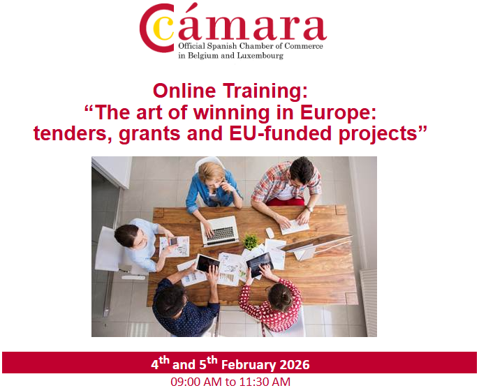 El arte de triunfar en Europa: licitaciones, subvenciones y proyectos financiados por la UE