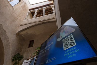 Entrada Palacio de los Duques de Medinaceli