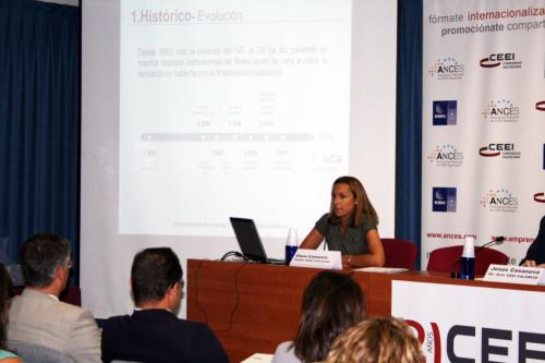 Elena Camarero, Tcnico de Ivace Financiacin durante su intervencin en el foro