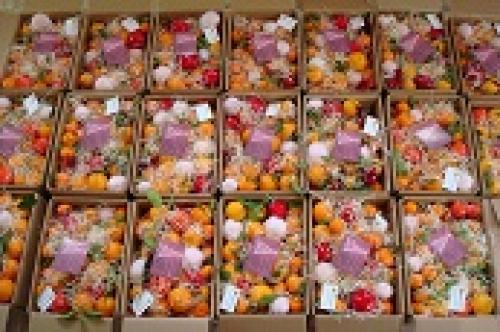 CAJAS DE NAVIDAD