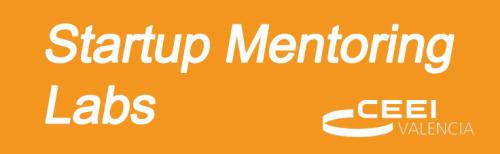 Startup Mentoring Labs