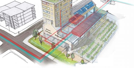 Urban Food from Residual Heat