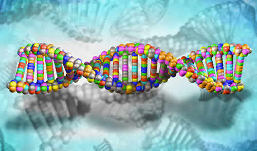 Biomédica