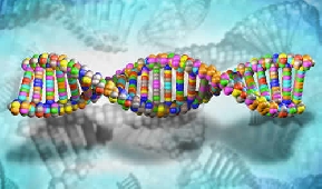 Biom�dica