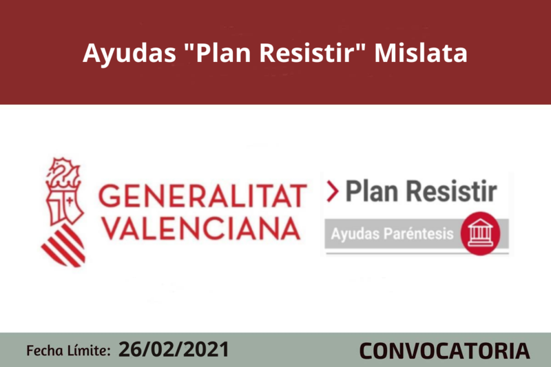 Ampliar imagen