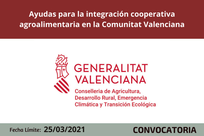 Ampliar imagen