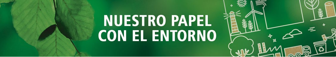 Compa��a Ib�rica de Paneles Sint�ticos, S.A.