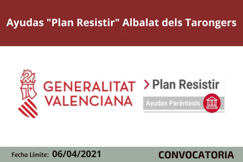 Ampliar imagen
