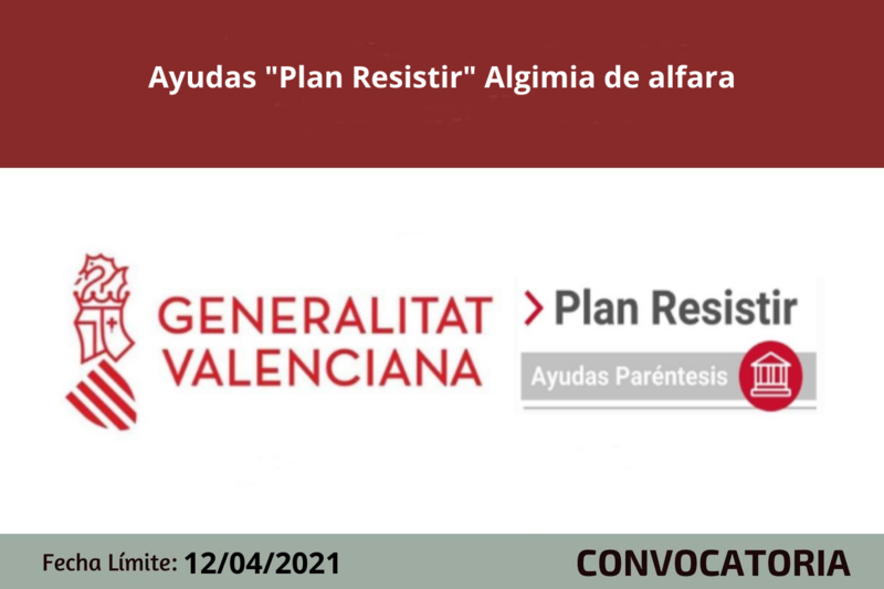 Ampliar imagen