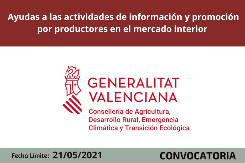 Ampliar imagen