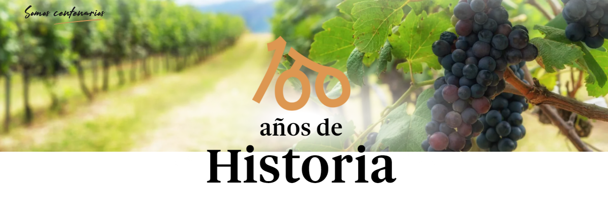 La Baronía de Turís, COOP.V.