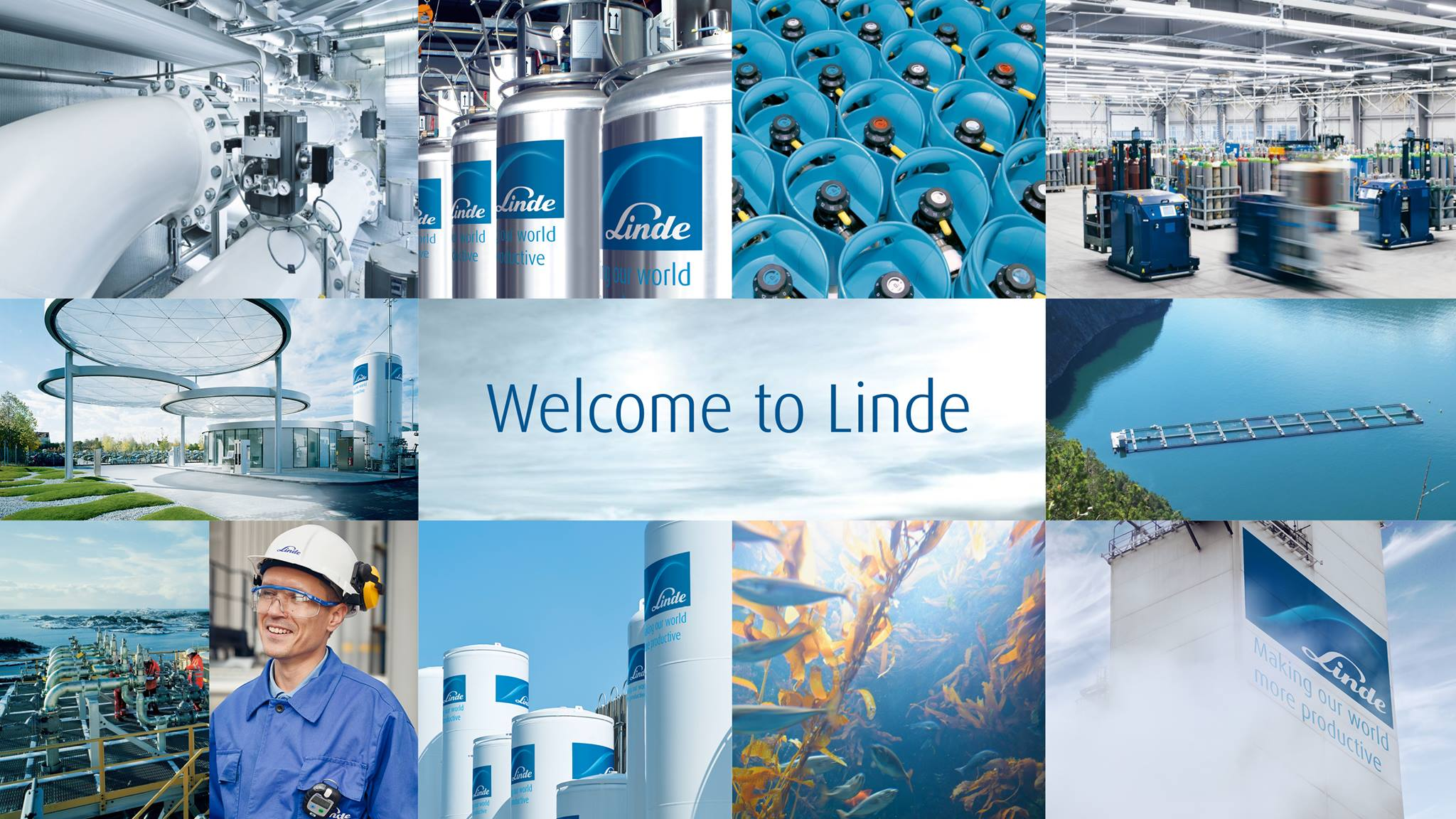 Linde Gas Espa�a S.A. 