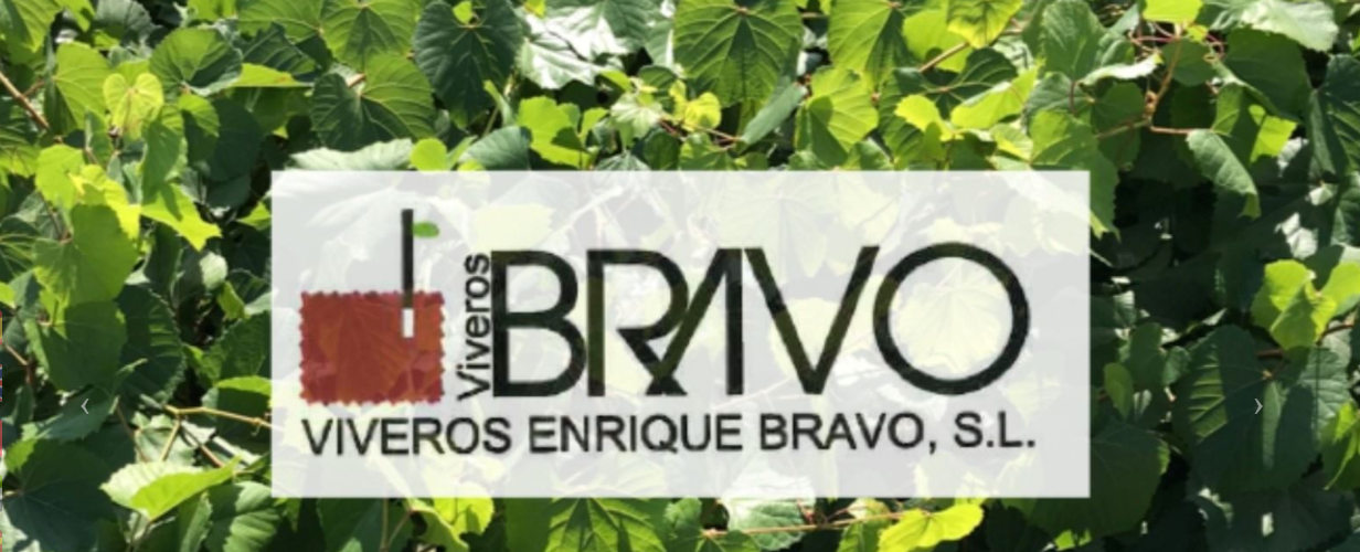 Viveros Enrique Bravo S.L.