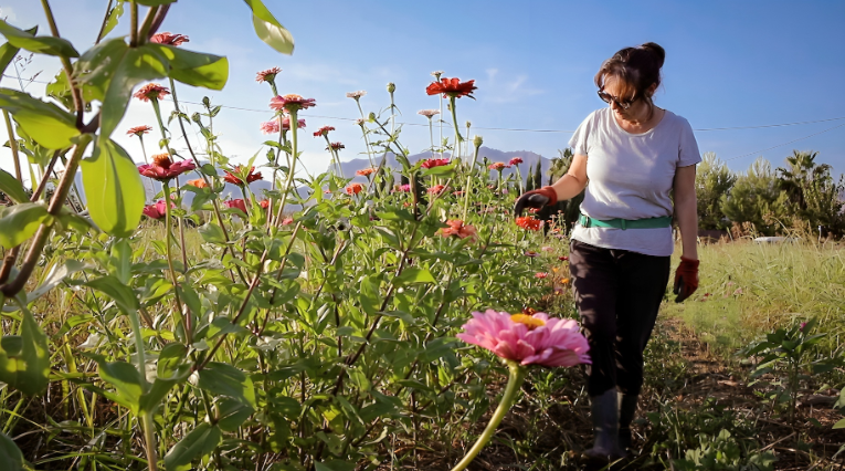 Las mujeres toman las riendas del autoempleo rural en el sur Alicante: protagonizan el 70% de los proyectos LEADER